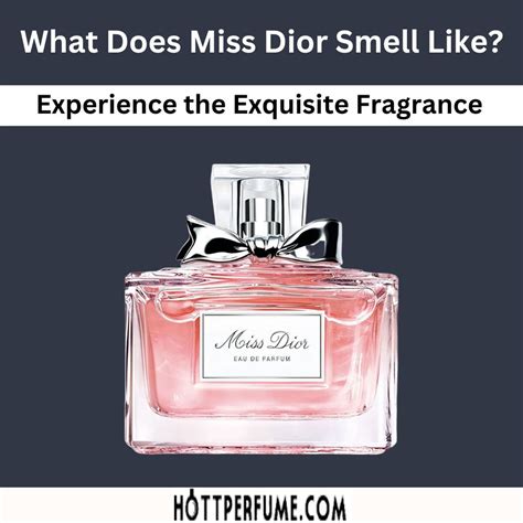 miss dior parfueme|what does Miss Dior perfume smell like.